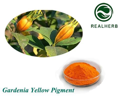 Pigment Lliw Melyn Gardenia Naturiol